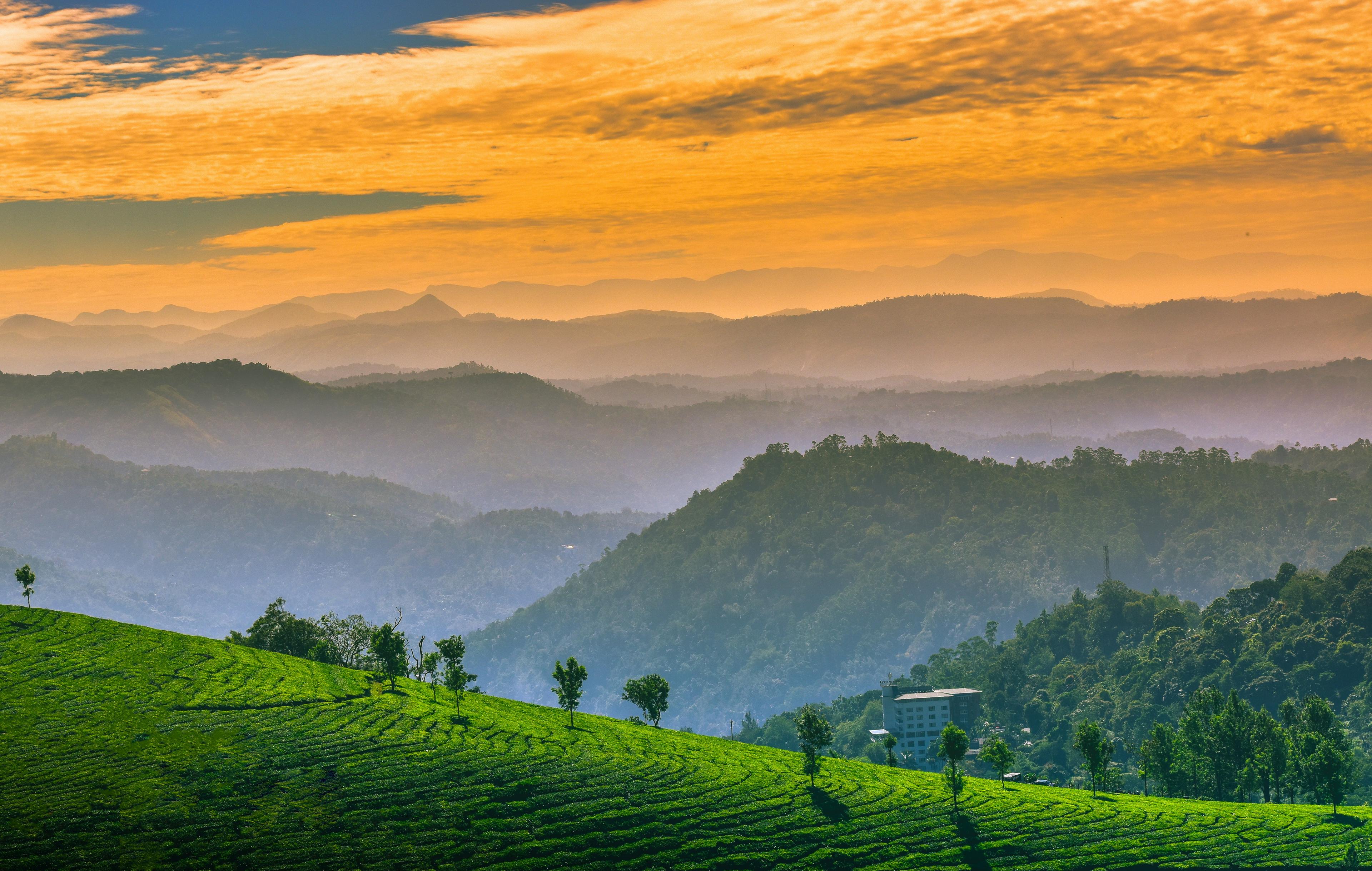 Tea plantations of Munnar